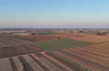 Українці інвестували близько 50 мільярдів гривень у землю за чотири роки: де найкоштовніші гектари…