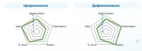 Новий фунгіцид класу триазолів від Сайпрес™ для обробки соняшникових та цукрових буряків 17
