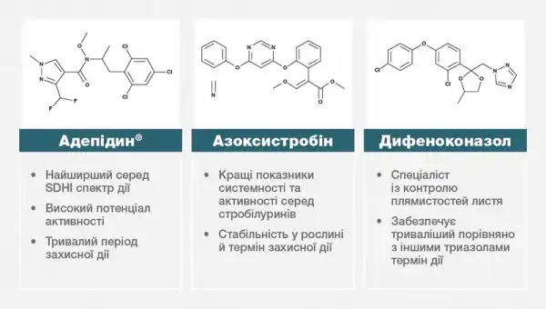 Міравіс® Макс — інноваційний трикомпонентний SDHI фунгіцид, створений для захисту сільськогосподарських культур, що забезпечує максимальну гарантію успіху. 7 Міравіс® Макс — інноваційний трикомпонентний SDHI фунгіцид, створений для захисту сільськогосподарських культур, що забезпечує максимальну гарантію успіху. 7