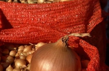 В Україні різко зростає ціна на цибулю: вичерпано запаси.