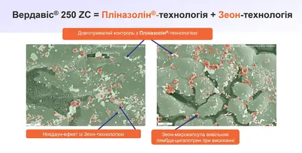 ВЕРДАВІС® — сучасний засіб для боротьби з резистентністю, що забезпечує потужний та стійкий захист. 18