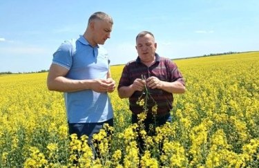 Українські аграрії започаткували експорт соєвої олії, отримавши фінансову допомогу.