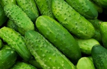 Рік спаду: ціни на огірки в Україні впали на 30%