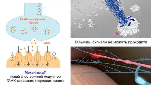 ВЕРДАВІС® — сучасний засіб для боротьби з резистентністю, що забезпечує потужний та стійкий захист. 16