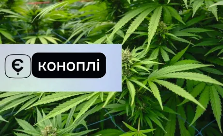 Запровадження цифрових технологій у коноплярстві: труднощі та можливості 8