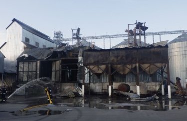 Росія завдала удару по зерносховищу на Сумщині (ЗНІМКИ)