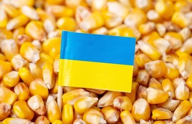 кукурудза, експорт кукурудзи, прапор України