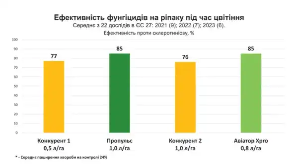Ярий ріпак: основні моменти 7