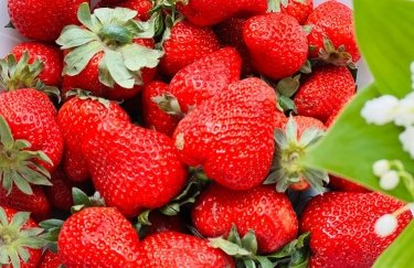 Вартість фруктів в Україні 5 червня