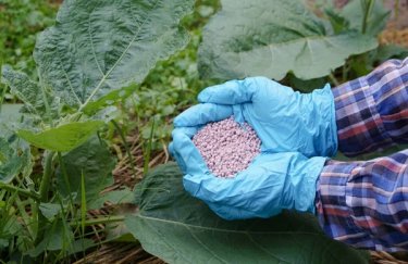 Зниження цін на зерно внаслідок падіння вартості добрив 1