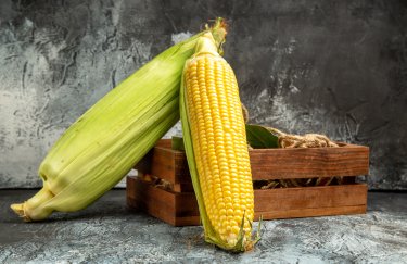 Зниження вартості української кукурудзи у зв’язку зі світовим падінням цін&hellip;