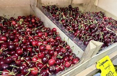 Черешні та абрикоси зросли в ціні майже на 50%: чого очікувати від подальшого ціноутворення
