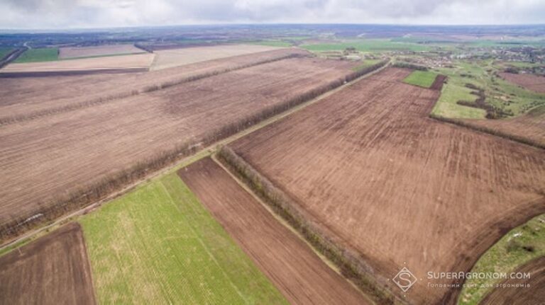 FieldTrace полегшує дотримання вимог EUDR: як функціонує нова послуга — SuperAgronom.com 3