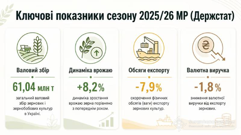 Зерновий врожай збільшився на 8%, експорт зменшився на 7,9%: результати 2025/26 маркетингового року — SuperAgronom.com 6