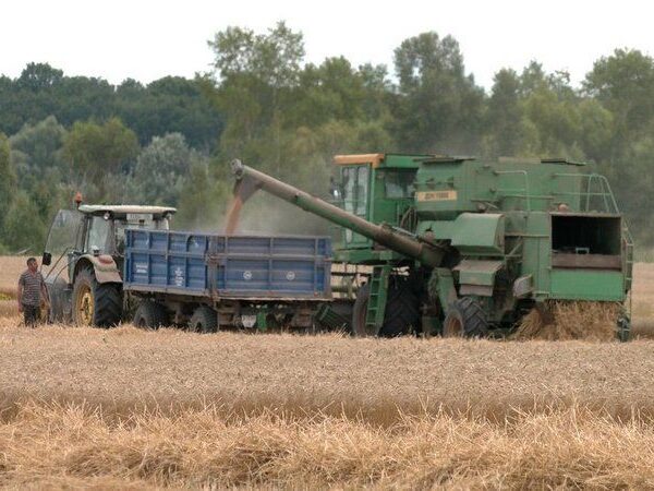 Збір врожаю чудовий, але вартість — ні: на Чернігівщині зерно продають майже вдвічі менше, ніж минулого року — SuperAgronom.com