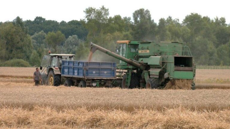 Збір врожаю чудовий, але вартість — ні: на Чернігівщині зерно продають майже вдвічі менше, ніж минулого року — SuperAgronom.com 9 Збір врожаю чудовий, але вартість — ні: на Чернігівщині зерно продають майже вдвічі менше, ніж минулого року — SuperAgronom.com 9