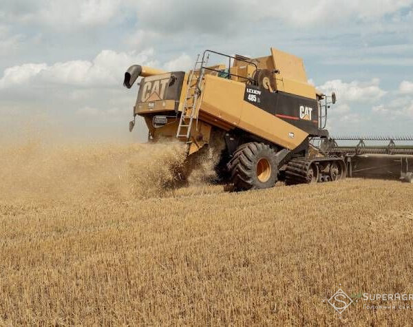 Дощі та зміни температури ускладнюють збір урожаю на Львівщині — SuperAgronom.com