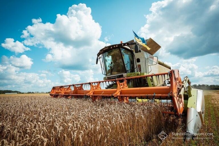 Логістичні труднощі впливають на вартість зерна в пік жнив: що турбує сільгоспвиробників — SuperAgronom.com 5 Логістичні труднощі впливають на вартість зерна в пік жнив: що турбує сільгоспвиробників — SuperAgronom.com 5