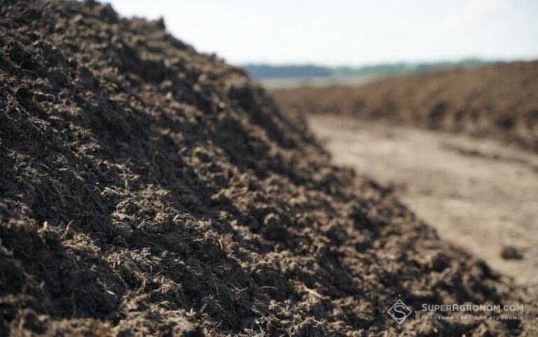 Розпочато кримінальне провадження щодо аграрія з Миколаївської області через застосування добрив — SuperAgronom.com 2