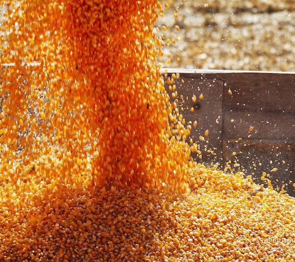 Британські фермери зазнали збитків через дорожнечу пального: численні господарства виставили на продаж — SuperAgronom.com