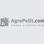 Темпи вивезення українського зерна суттєво знизилися наприкінці липня — АГРОПОЛІТ