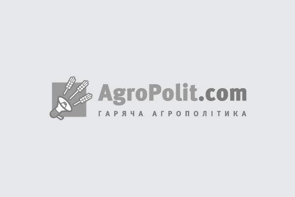 Темпи вивезення українського зерна суттєво знизилися наприкінці липня — АГРОПОЛІТ