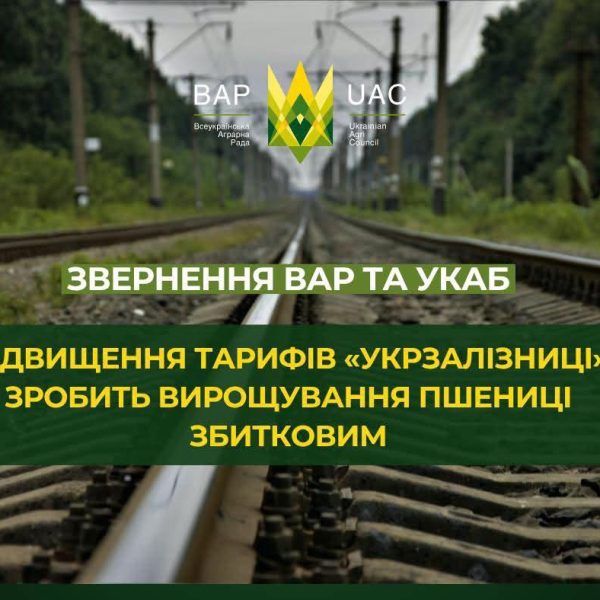 Постачання зерна до Констанци може зрости до 70 доларів США за тонну — АГРОПОЛІТ