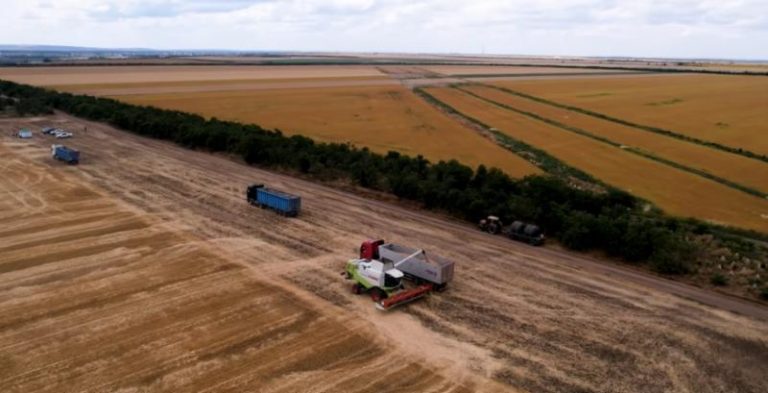 Соняшник і кукурудза сьогодні висушують ґрунт надмірно, — розповів аграрій з Одещини. 2