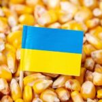 ГОЛОВНА 38 Зниження цін на українську кукурудзу внаслідок нападів на порти: покупці…