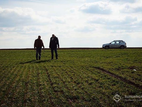 Призов на військову службу головним чином призводить до нестачі фахівців у сільському господарстві, де в деяких сферах положення вже досягло критичної точки — SuperAgronom.com