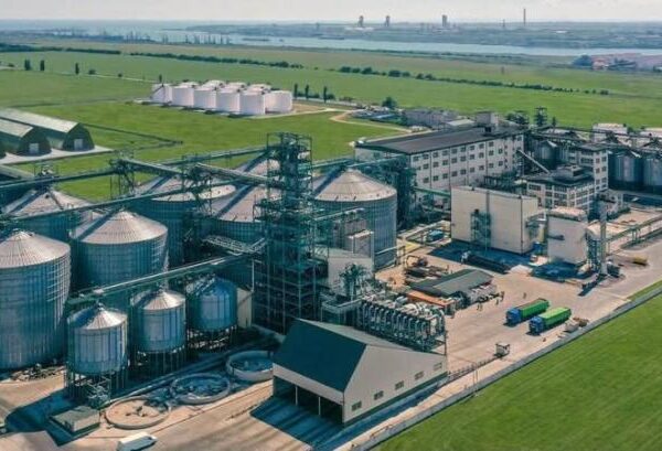 Allseeds, один із провідних виробників олії, припиняє свою діяльність в Україні — КУРКУЛЬ