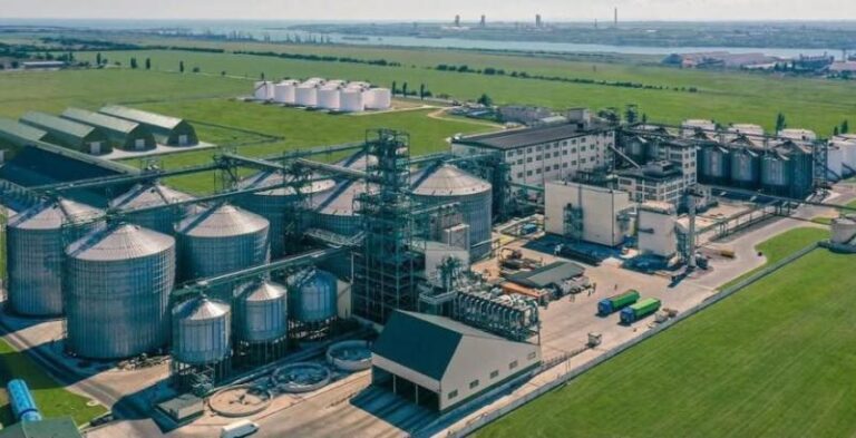 Allseeds, один із провідних виробників олії, припиняє свою діяльність в Україні — КУРКУЛЬ 4