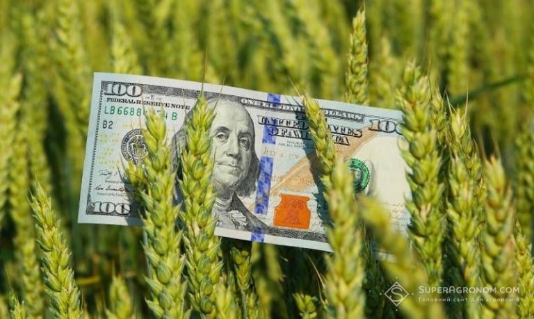 Прогноз урожаю, стан зернових культур у різних областях та логістичні перспективи: експерти надали свою думку — SuperAgronom.com 5 Прогноз урожаю, стан зернових культур у різних областях та логістичні перспективи: експерти надали свою думку — SuperAgronom.com 5