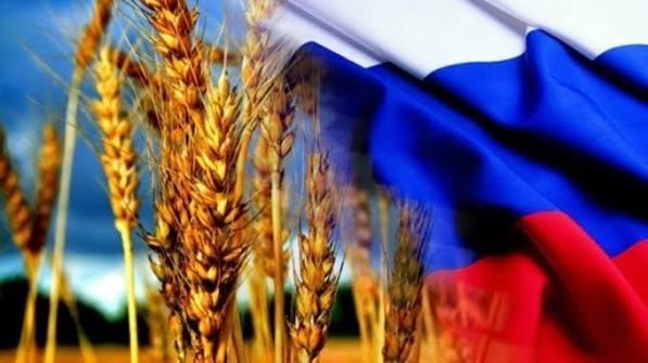 Азовський фактор: Збої у логістиці Росії можуть тимчасово призвести до зростання цін на зерно — АГРОПОЛІТ