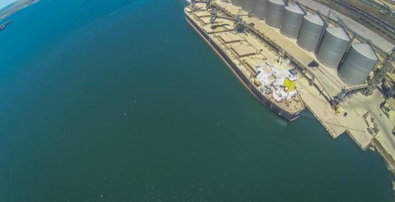 Ціни на продовольчу пшеницю в портах далі знижуються — АгроКлуб 5