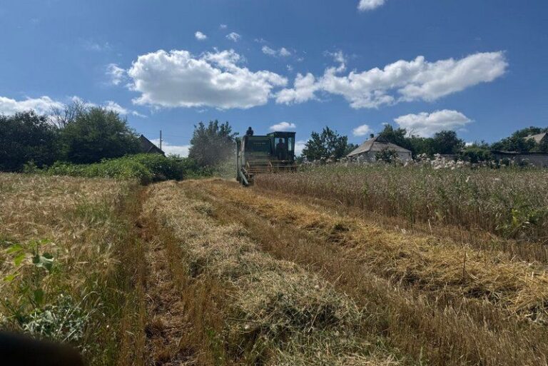 Аграрії Краматорської громади взялися за збір врожаю, незважаючи на постійну небезпеку ворожих обстрілів — SuperAgronom.com 2 Аграрії Краматорської громади взялися за збір врожаю, незважаючи на постійну небезпеку ворожих обстрілів — SuperAgronom.com 2