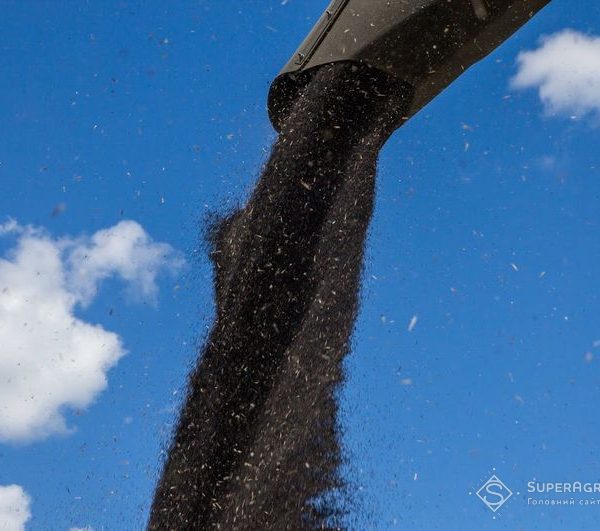 Вартість рапсу та пшениці на альтернативних експортних шляхах – SuperAgronom.com