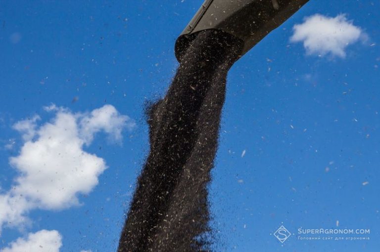 Вартість рапсу та пшениці на альтернативних експортних шляхах – SuperAgronom.com 4