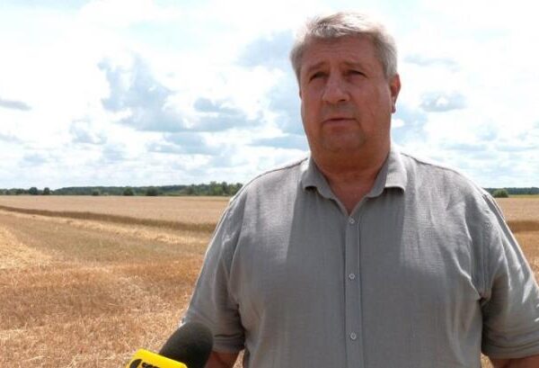Зниження вартості пшениці загрожує збору врожаю, зазначає аграрій — КУРКУЛЬ