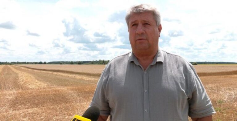 Зниження вартості пшениці загрожує збору врожаю, зазначає аграрій — КУРКУЛЬ 5 Зниження вартості пшениці загрожує збору врожаю, зазначає аграрій — КУРКУЛЬ 5