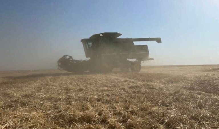 Збір зернових на Херсонщині сягає понад 5 тонн з гектара, проте внаслідок атак дронів втрачено 5 тисяч гектарів посівних площ — SuperAgronom.com 3 Збір зернових на Херсонщині сягає понад 5 тонн з гектара, проте внаслідок атак дронів втрачено 5 тисяч гектарів посівних площ — SuperAgronom.com 3