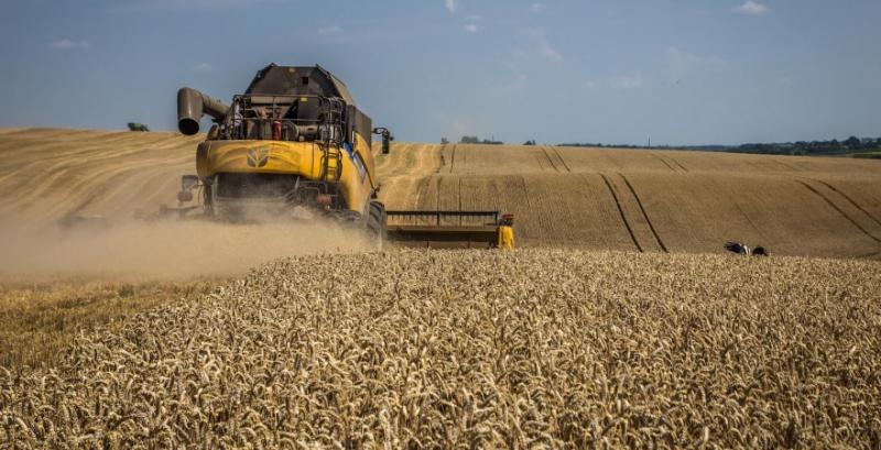 Аграріїв стримує від продажу нового врожаю пшениці Аграріїв стримує від продажу нового врожаю пшениці
