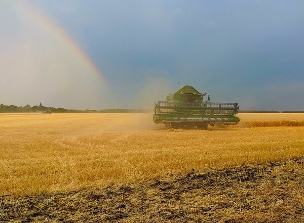 Прикарпаття зібрало ранні зернові та зернобобові