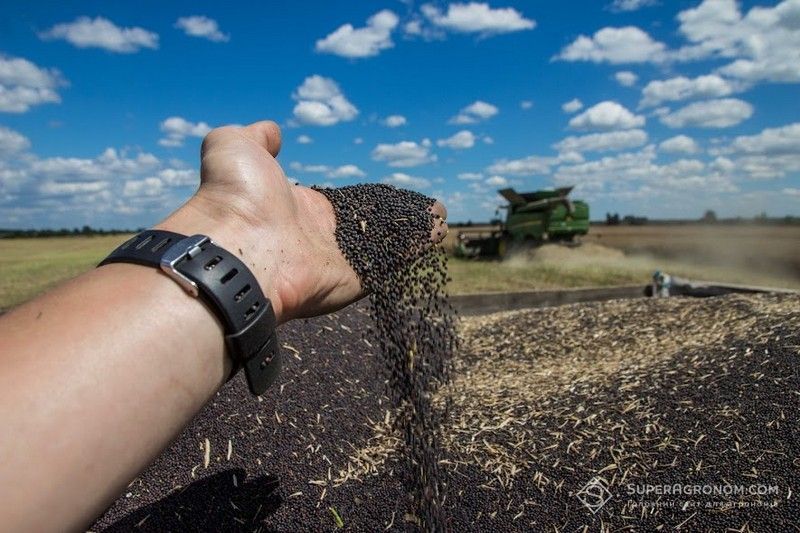 Harvest-2026 in Kirovohrad region: yields of all early crops exceeded last year's