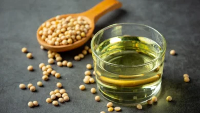 «Агромат-Інвест» вивів на ринок новий гібрид соняшнику 31