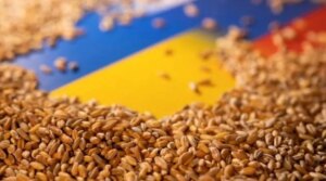 Український агроекспорт у серпні сягнув 1,4 мільйона тонн