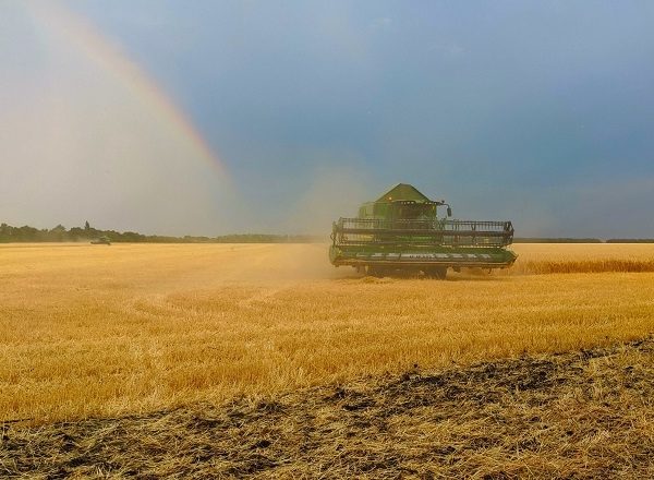 На Прикарпатті зібрали понад 100 тисяч тонн ранніх зернових