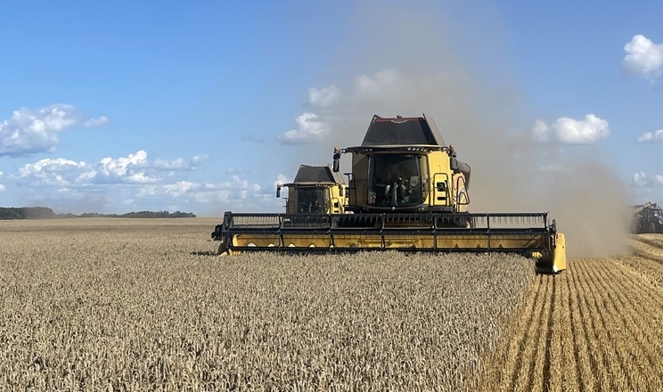 Волинь зібрала врожай ранніх зернових