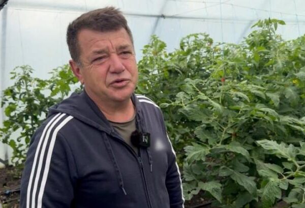 Херсонський аграрій заснував тепличне підприємство на Хмельниччині та має наміри збільшити масштаби своєї справи — КУРКУЛЬ