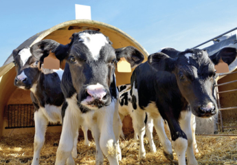 ХІІ сесія International School of Feed: продуктивне кормовиробництво під прицілом 29